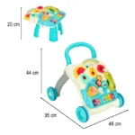 Activity Walker - 4 in 1