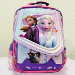 16 Inch Kids Character Backpack School Time Premium Cartoon School Bag Frozen