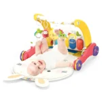 2 In 1 Baby Walker & Piano Rack - Baby Gym Play Mat - 7