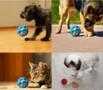 Moon Ball Bouncy Coral Ball Anti Stress Ball (Pack of 1 - Multicolor)-12