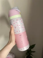 Owala FreeSip 24oz Water Bottle Cherry Blossom